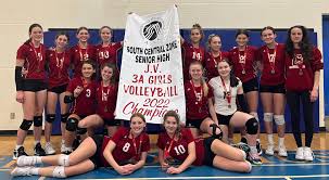 Image result for Cheltenham Cobras Volleyball Club
