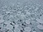 Ice | Ice Stories: Dispatches From Polar Scientists