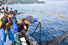「宝町雨彦」の画像検索結果