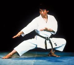 Image result for York University Karate Club