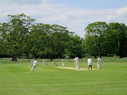 Image result for Newton Cricket Club