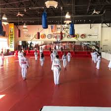 Image result for White Tiger Martial Arts