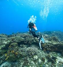 Image result for Scuba Fun