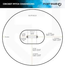 Image result for Pitch marking blog