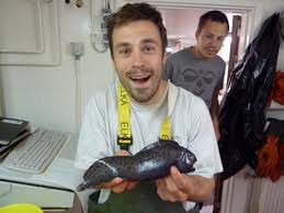 Image result for Anarhichas denticulatus