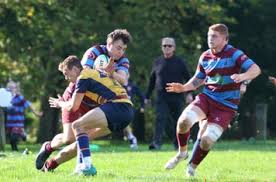 Image result for Cobham Rugby Club