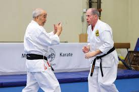 Image result for Thames Valley Karate