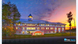 Image result for Nelson Cc