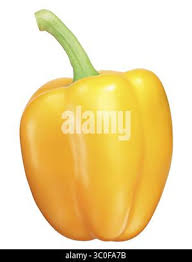Afbeeldingsresultaat voor californian wonder golden sweet pepper