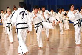 Image result for English International Allstyles Taekwon-Do