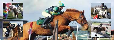 Image result for Huntingdon and District Riding Club