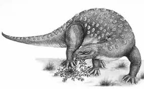 Image result for MINMI