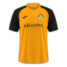 Image result for Merstham Football Club