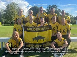 Image result for Thriplow Cricket Club