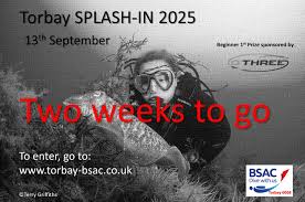 Image result for Torbay Sub-Aqua Club