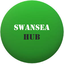 Image result for Swansea Rounders Team
