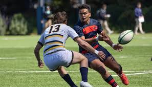 Image result for Widnes St Maries Amateur Rugby League Football Club