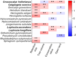 Attēlu rezultāti vaicājumam “Helodium blandowii sporophyte”