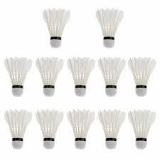 Image result for Feathers Badminton- Leatherhead