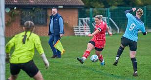 Image result for Beecholme Fc