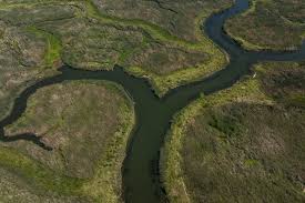 Image result for Long Eaton Sac