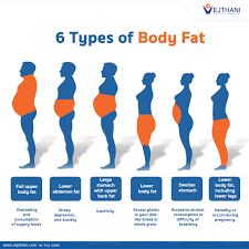 Image result for fat