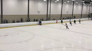 Image result for Halifax Octopush Club