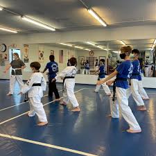 Image result for Imperial Karate Club