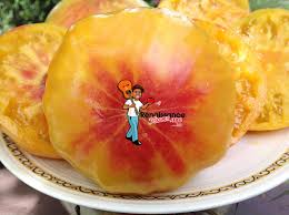 Afbeeldingsresultaat voor mortgage lifter bicolor strain tomato