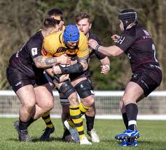 Image result for Rochford Hundred Rugby Club
