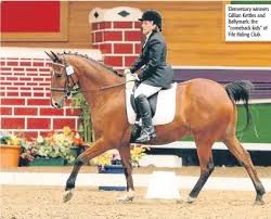 Image result for Fife Riding Club