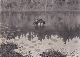 Image result for theodor kittelsen troll
