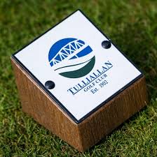 Image result for Tulliallan Golf Club