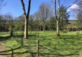 Image result for Friezland Bowling Club