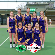 Image result for Mission Impossible Netball Club