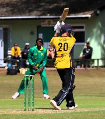 Image result for Mildenhall Cricket Club