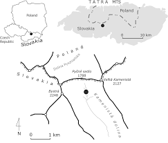 Attēlu rezultāti vaicājumam “Nardia scalaris cells”