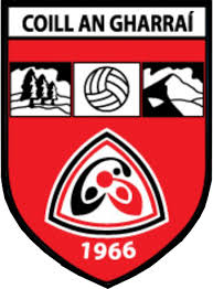 Image result for Ardglass Gfc