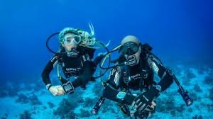 Image result for Headstream Divers