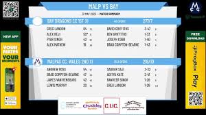 Image result for Bay Dragons CC