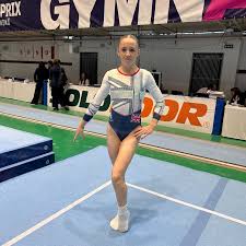 Image result for Park Wrekin Gymnastics Club