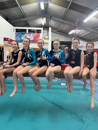 Image result for Holbeach and Fenland Gymnastics Club