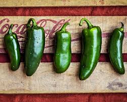 Afbeeldingsresultaat voor jalapeno early hot pepper