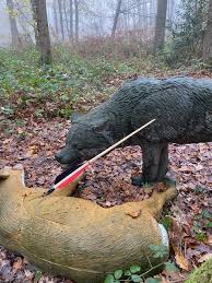 Image result for Row Brow Field Archery