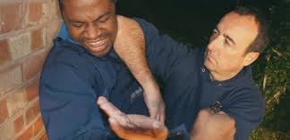 Image result for Midlands Wing Chun