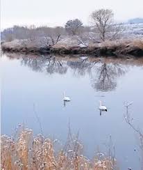 Image result for Dunblane Scrabble Club