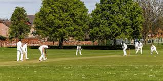 Image result for Adwick-On-Dearne Cricket Club