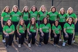 Image result for Dragons Softball Club