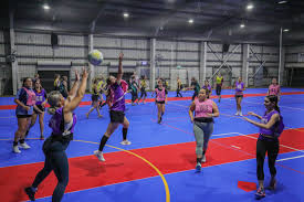 Image result for Sports Centre Netball