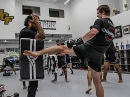 Image result for Muay Thai Clubs